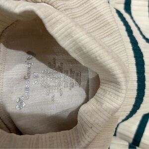 Cotton Candy Cream and Green Striped Long Sleeve Top